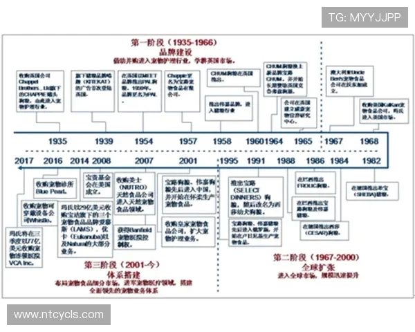 网球运动发展历程与未来趋势分析：从技术革新到全球化影响