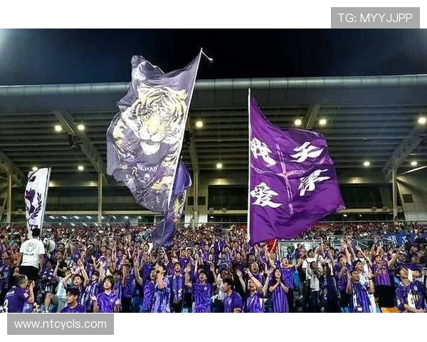 天津津门虎迎战强敌,全力争胜力争排名提升,球迷期待激烈对决 天津津门虎迎战强敌,全力争胜力争排名提升,球迷期待激烈对决