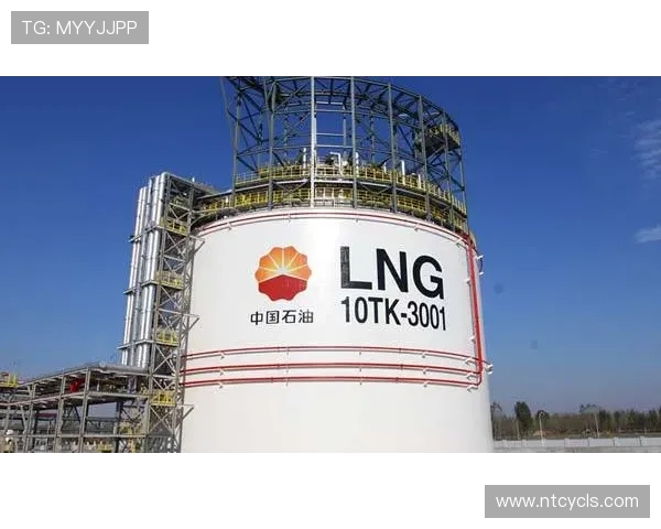 LNG战术解析：如何构建高效反击体系以逆转战局