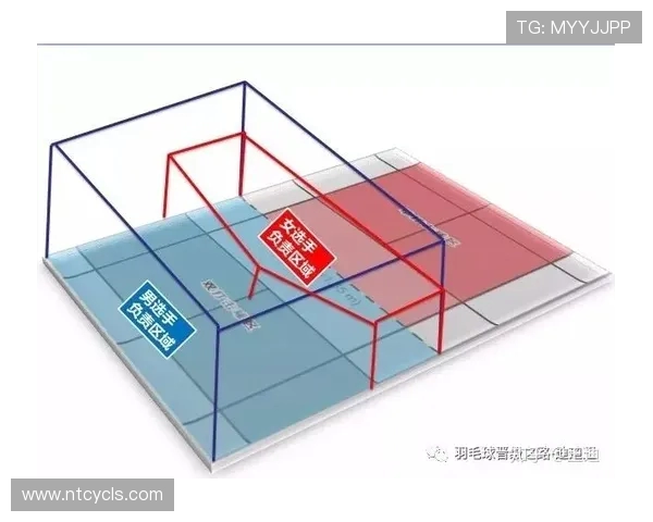 羽毛球深度解析：探秘北京羽毛球队的战术布局与竞技策略